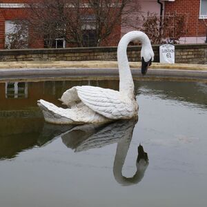 Reflection 7