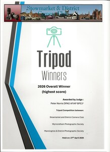 Winners Certificate