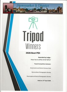 Certificate - Best PDI - Andy Soar