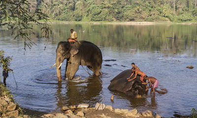 Time for a wash - Jill Sullivan