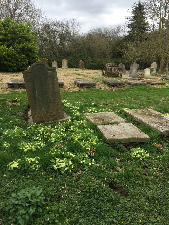 Graveyard in spring