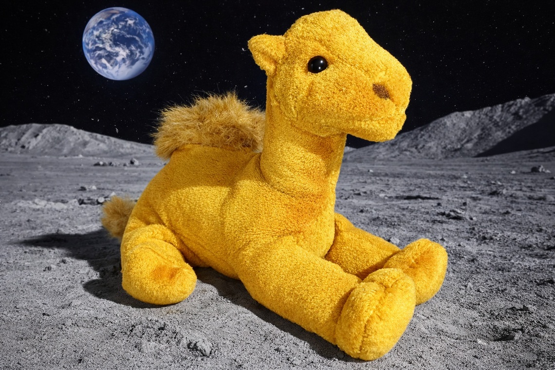 Camilla_Moon