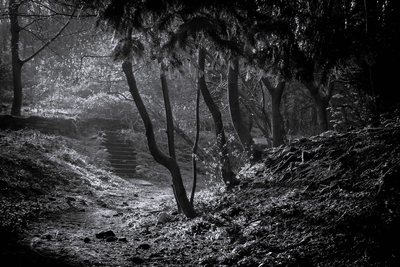 Scotch Quarry - Jay Patilaries