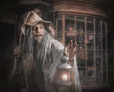 The Art of Wizarding - Janet Taylor