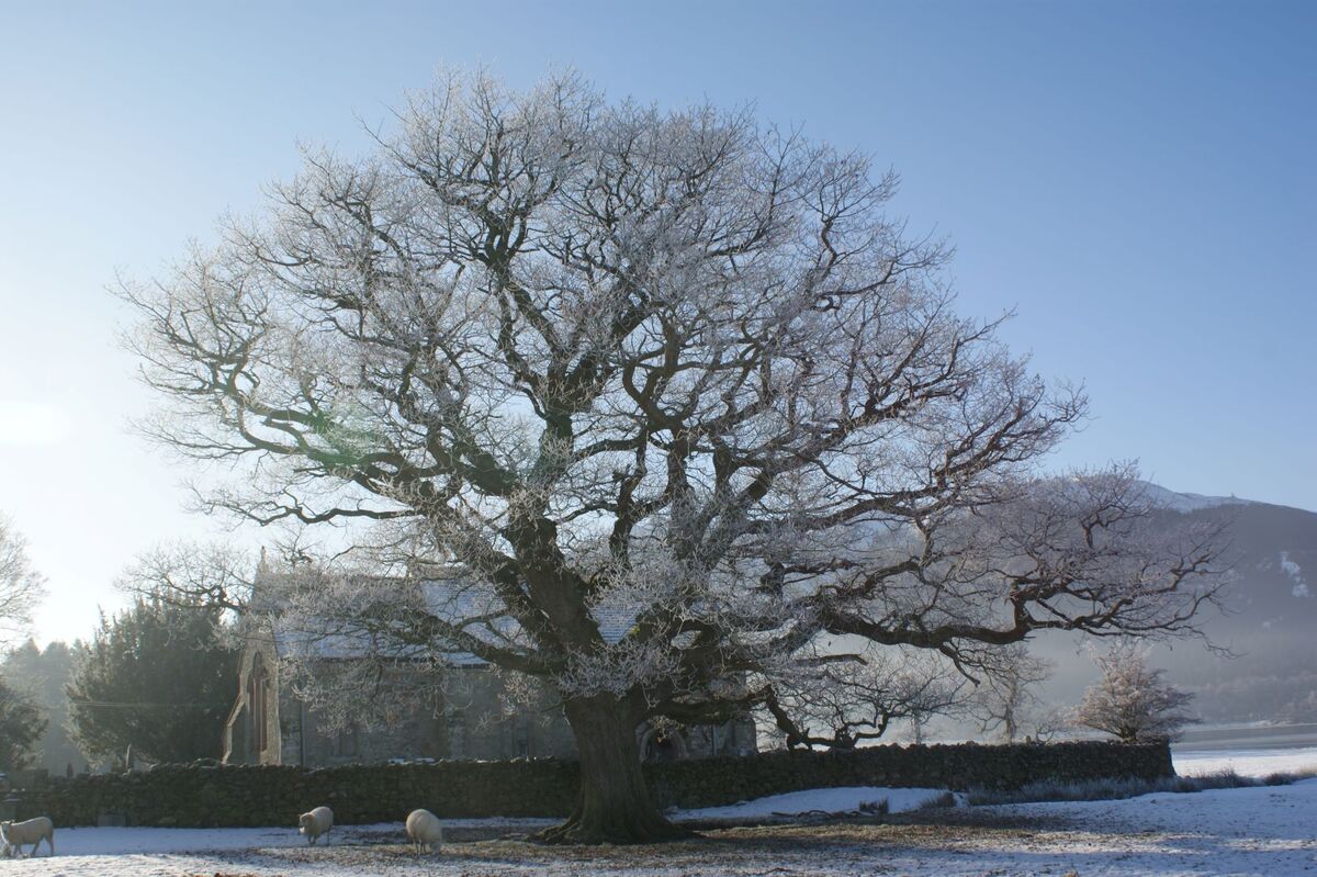 Bassenthwaite4