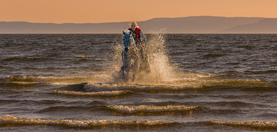 Seahorses by Janet Taylor - 1st place, Seascapes