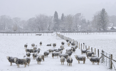 In the Bleak Midwinter