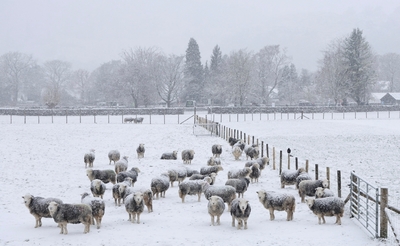 In the Bleak Midwinter by Dan Johnson - 1st place, Seasons