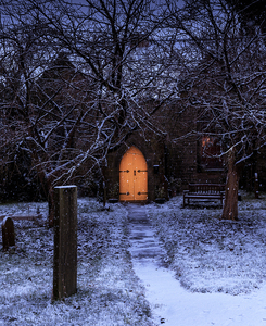 A Refuge from the Winter Snow by Janet Taylor, 2nd place - Seasons