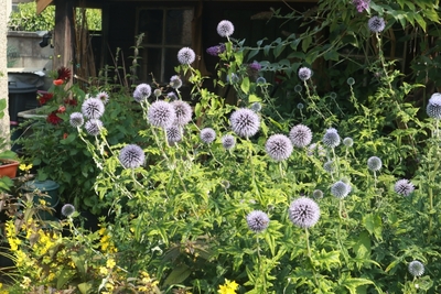 Garden of 17th Century house