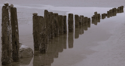 Three Stones On A Groin - Martin Hamer