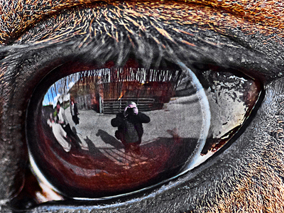 Reflective Selfie - Fernley Stribling - Commended