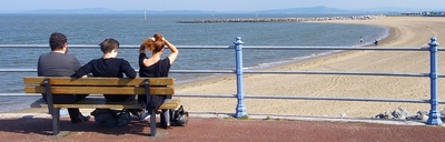 Viewing the Shoreline - Fernley Stribling