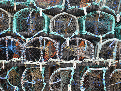 Scarborough Crab Net Wall - Jeff Cunningham