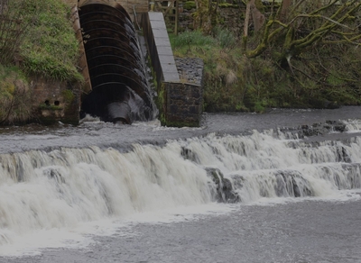 Archimedes at Bainbridge - Martin Hamer