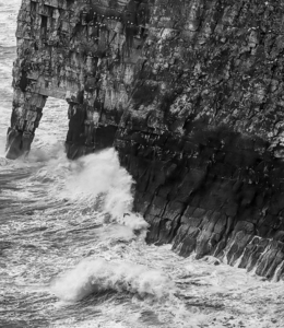 Bempton Cliffs - Steve Bird