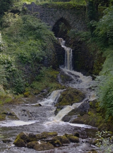 Clapham Beck - Martin Hamer