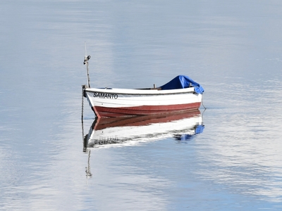 Samanto - Jeff Cunningham - Commended