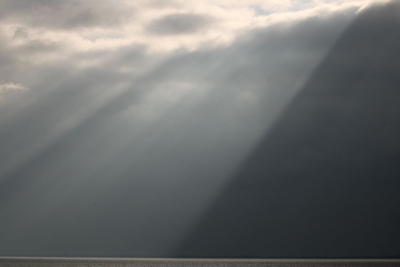 Light in the Dark - Clive Bond