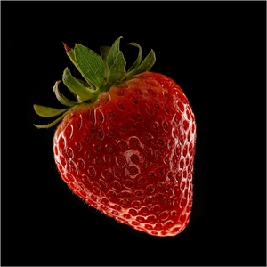 Strawberry - Steve Bird