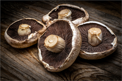 Mushrooms - Steve Bird - First Place