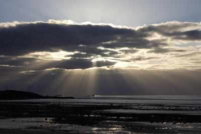 Sea Scape - Alan Bargh