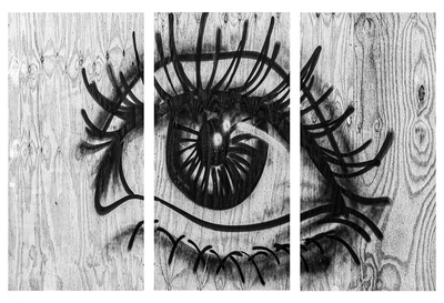 Eye See You - Steve Bird