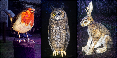 If you go Down to the Woods - Graham Dean