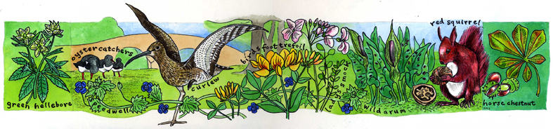 Musgrave Church Field by Janet Swailes