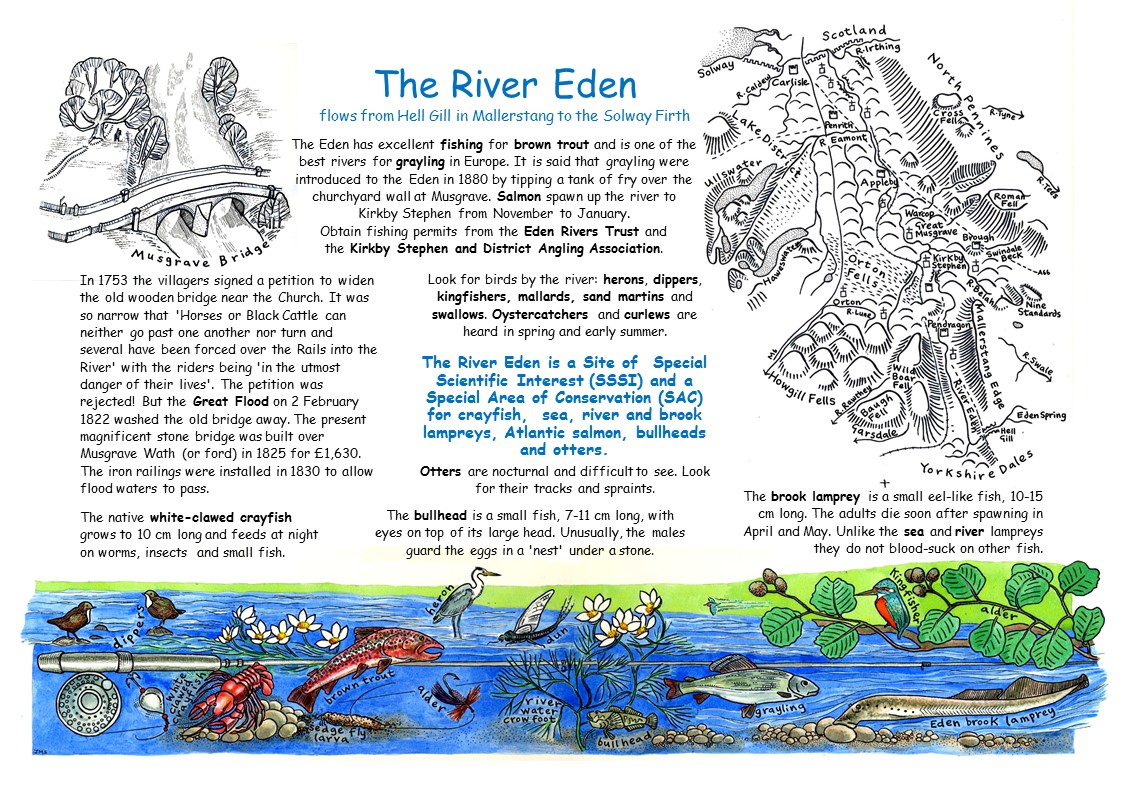 The_River_Eden_1.JPG