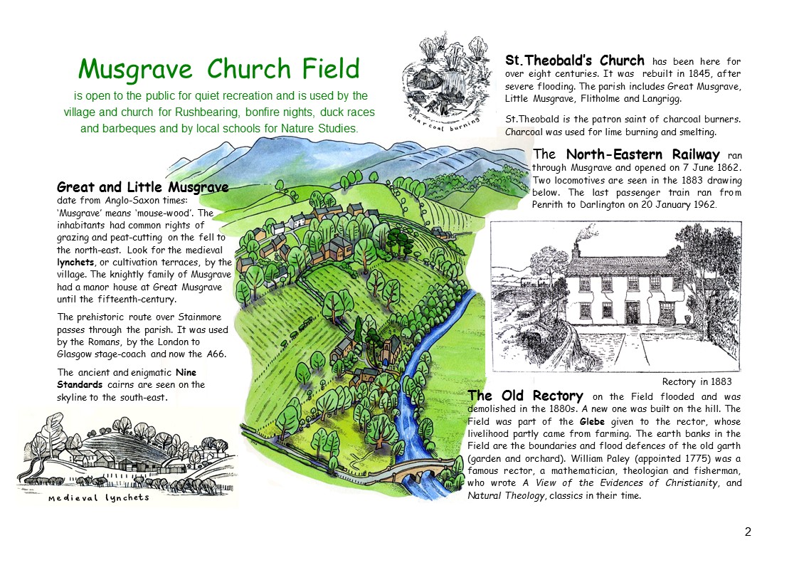 Musgrave_Church_Field_1.JPG