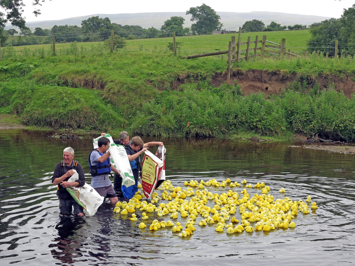 Duck Race 2015 Start