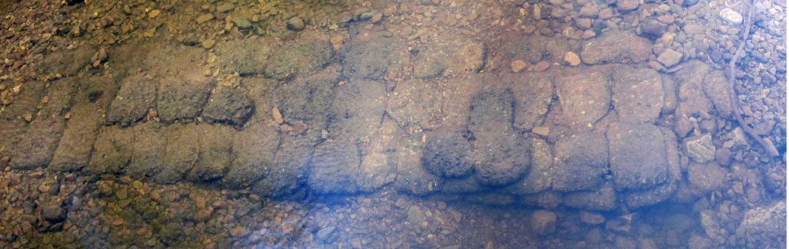 Musgrave Ford SW pan 2