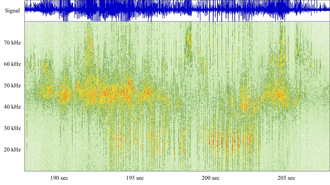 River Sequence 31Jul16