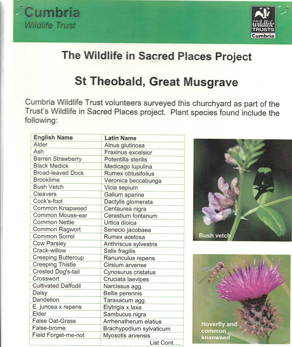 St Theobald's Flowers 1