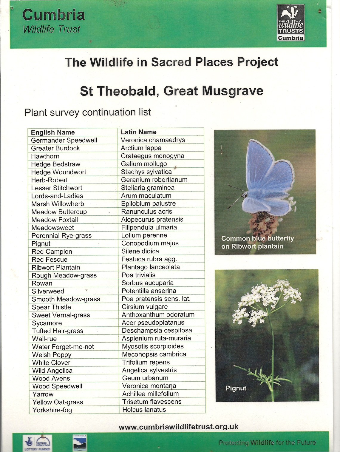 St Theobald's Flowers 2