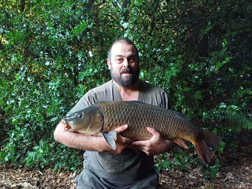 Carp