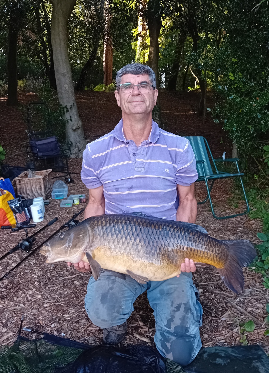 37lb
