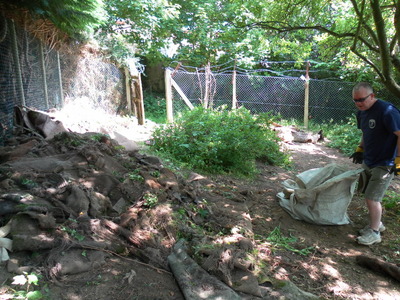 More site preparation!