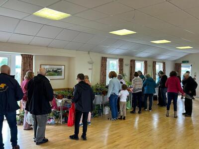 PLANT SALE 
