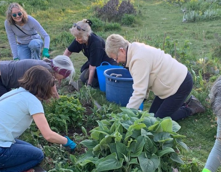 Volunteers gathered working on a raised bed in the garden