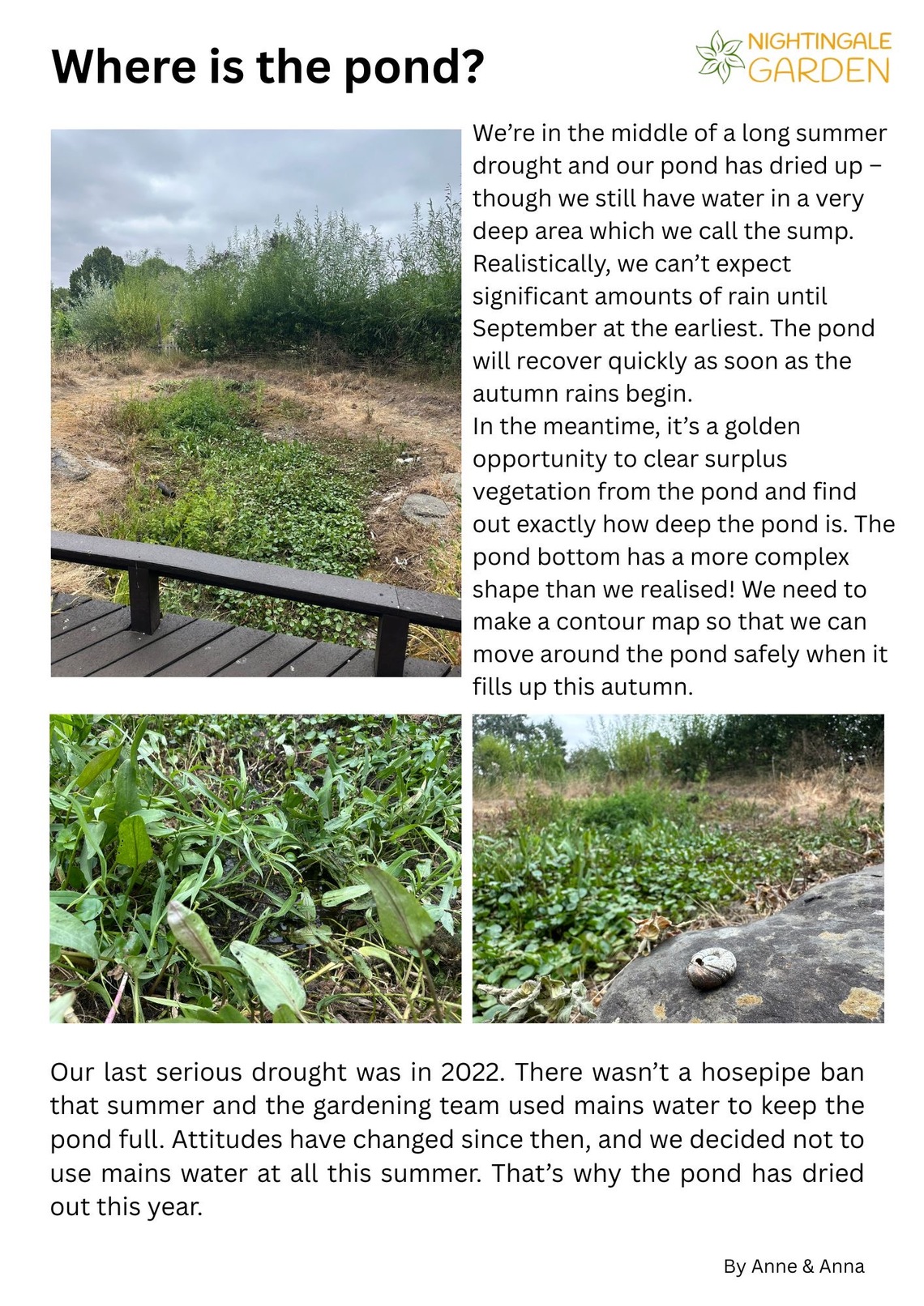 An A4 image talking about the pond drying out in the heatwave