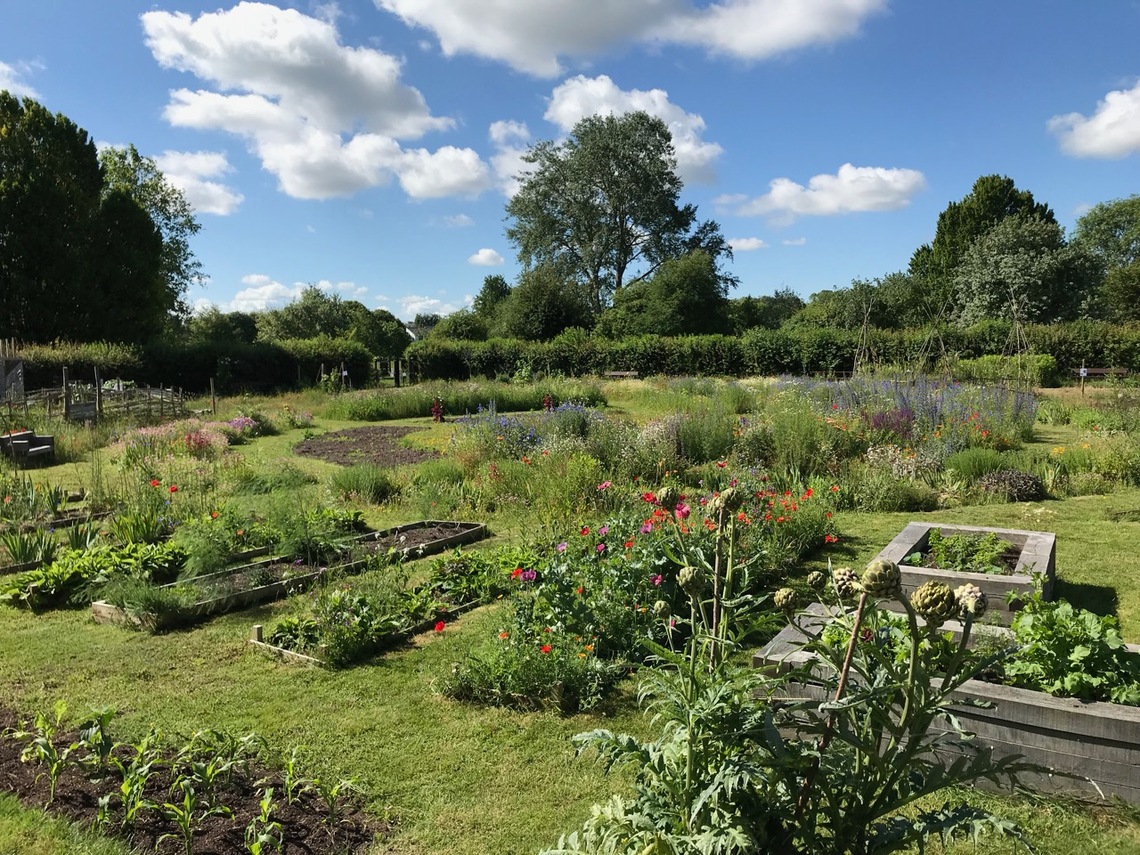 Wide garden view