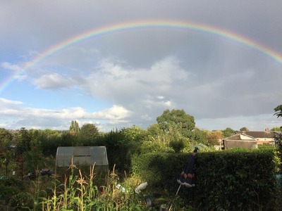 Rainbow over the plots