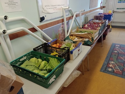 IMG_20230823_090031657_MFNR