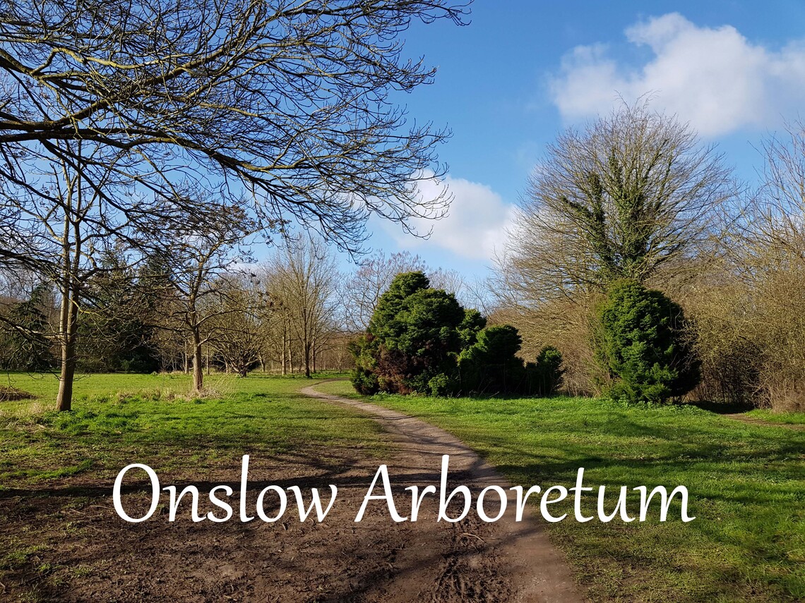 Onslow Arboretum