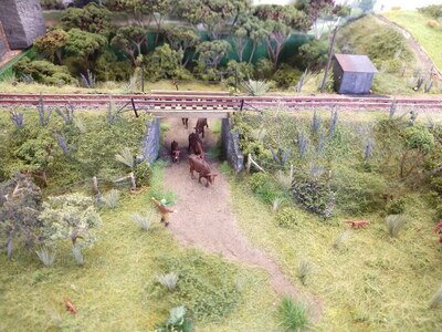 IMG_20220531_142151148