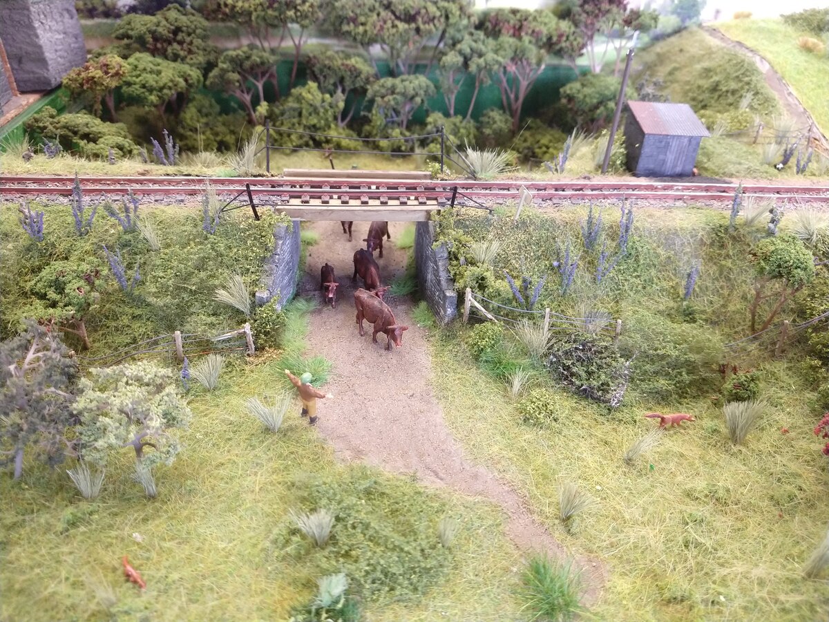 IMG_20220531_142151148