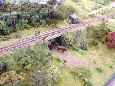 IMG_20220531_142153968