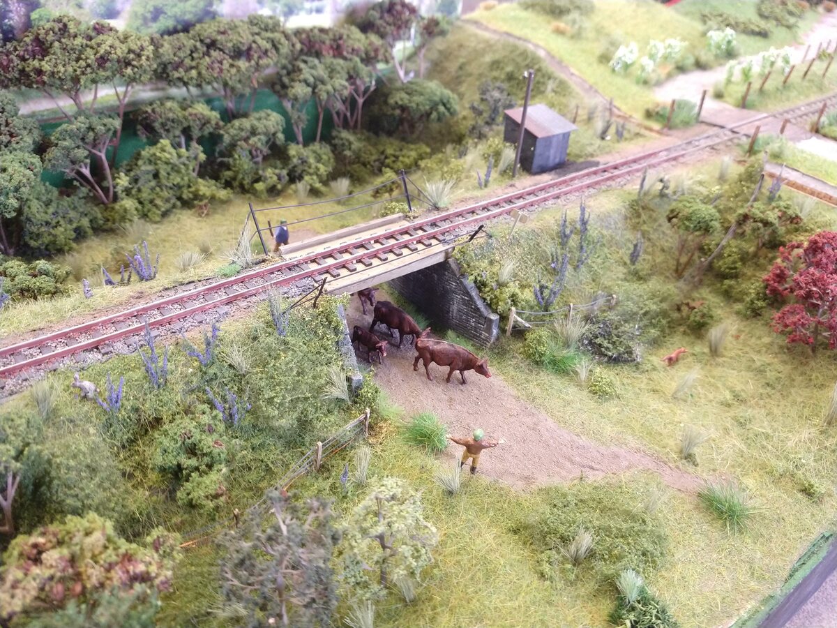 IMG_20220531_142153968